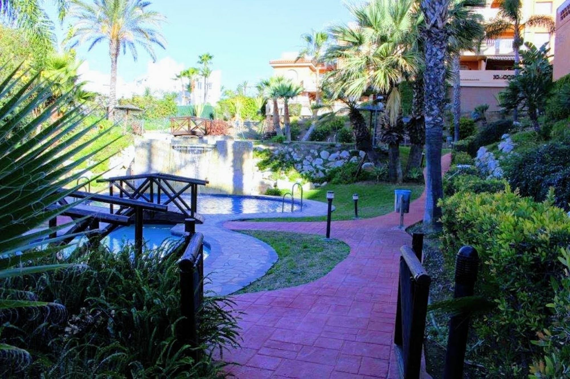 Blue Kingfisher Marbella